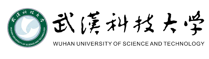 武汉科技大学 